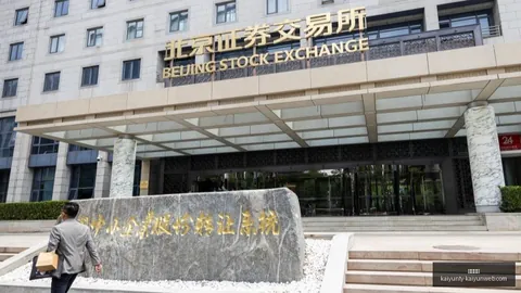 华安证券半年报揭示：投行手续费锐减75，股权储备项目零增长，券商业绩新动向