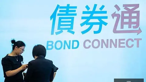 战队新阵容亮，开云体育，相，12目标瞄准冠军